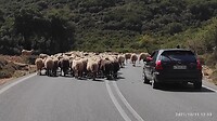 IMG_20211011_222300