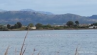 IMG_20211026_194520