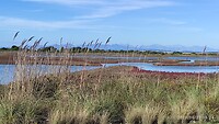 IMG_20211027_152422