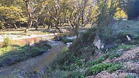 IMG_20211028_105721