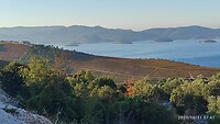 IMG_20211031_084110