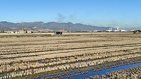 IMG_20220107_111011