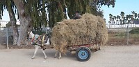 IMG_20220112_131703