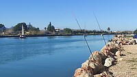 IMG_20220115_120241