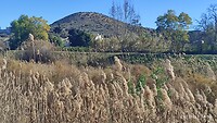 IMG_20220202_145504
