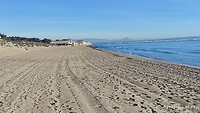 IMG_20220203_100049