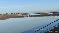 IMG_20220204_100250