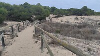 IMG_20220209_145622