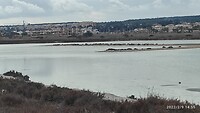 IMG_20220209_145506