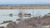 IMG_20220209_145445