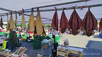 IMG_20221126_112443