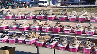 IMG_20230128_202645