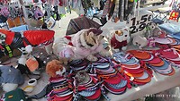 IMG_20230128_113848