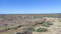 IMG_20230301_131521