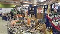 IMG_20230308_111249