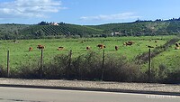 IMG_20230318_155542