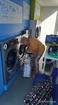 IMG_20230320_093819