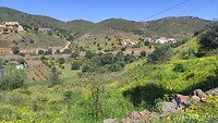 IMG_20230322_113721