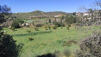 IMG_20230322_101559