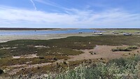 IMG_20230326_115344