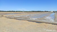 IMG_20230327_160343