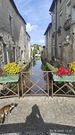 IMG_20231003_162325