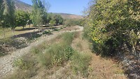 IMG_20231012_150515