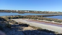 IMG_20231122_110606