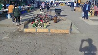 IMG_20231210_113511