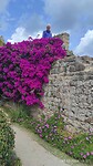 IMG_20240302_122755