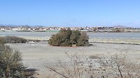 IMG_20240311_184706