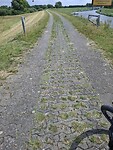 1000003081