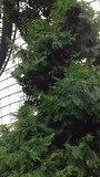 Inside  Cloud Forest