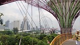 Boven in de Skyway and Supertree Grove