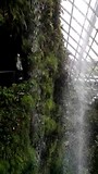 Waterval in Cloud Forest deel 2