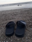 Met de pootjes in de Oostzee.