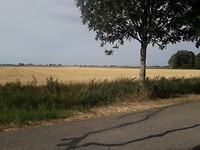 De pas gemaaide graanakkers bieden een mooi kleurenpallet.