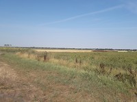 Nog een keer het weidse landschap in het Noorden.