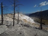 Mammoth 4
