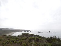 DSCN8257