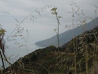 DSCN8251