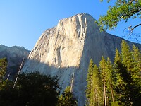 DSCN8378