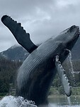 Dag 87 t/m 94 Cruise Alaska
