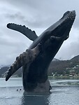 Dag 87 t/m 94 Cruise Alaska
