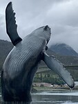 Dag 87 t/m 94 Cruise Alaska