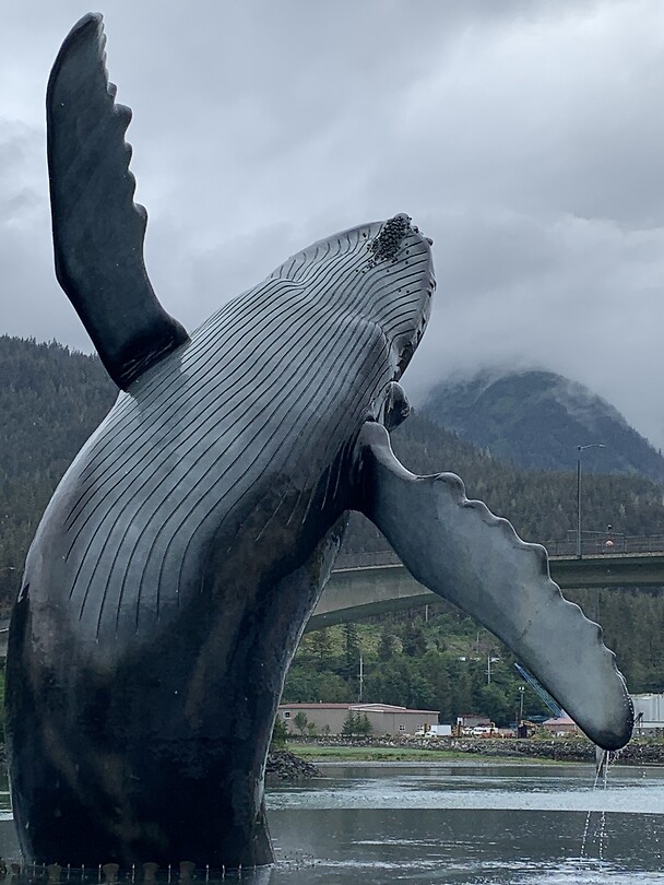 Dag 87 t/m 94 Cruise Alaska