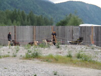 Dag 87 t/m 94 Cruise Alaska