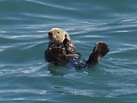 Dag 87 t/m 94 Cruise Alaska