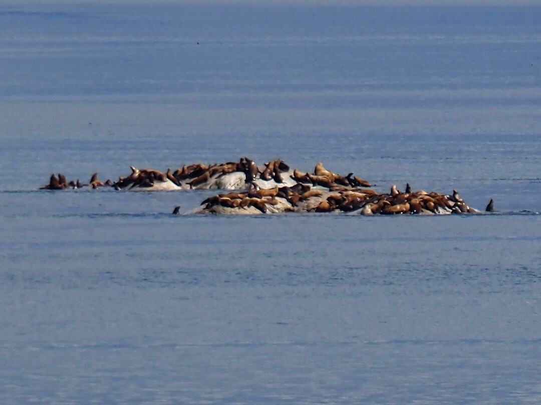Dag 87 t/m 94 Cruise Alaska