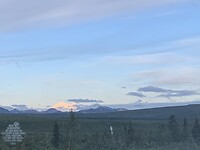 Dag 97 Denali National Park and reserve